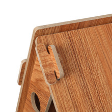 Leo Cat Scratching House